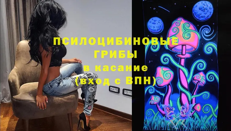 Псилоцибиновые грибы Cubensis  Бобров 